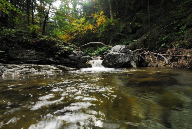 płynący potok w górach, zdjęcie naszego czytelnika